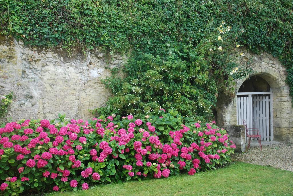 Le Pavillon de la Lanterne Villa Rochecorbon Eksteriør billede